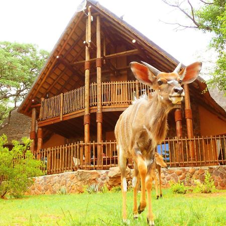 Kololo Game Reserve Vaalwater Exterior foto