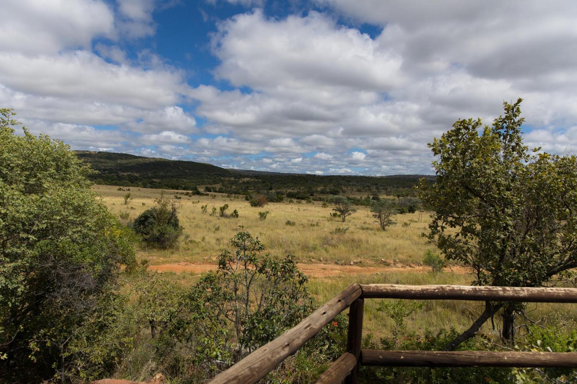 Kololo Game Reserve Vaalwater Exterior foto