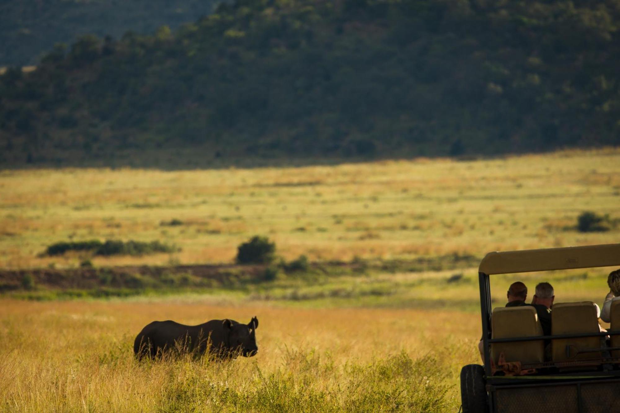 Kololo Game Reserve Vaalwater Exterior foto