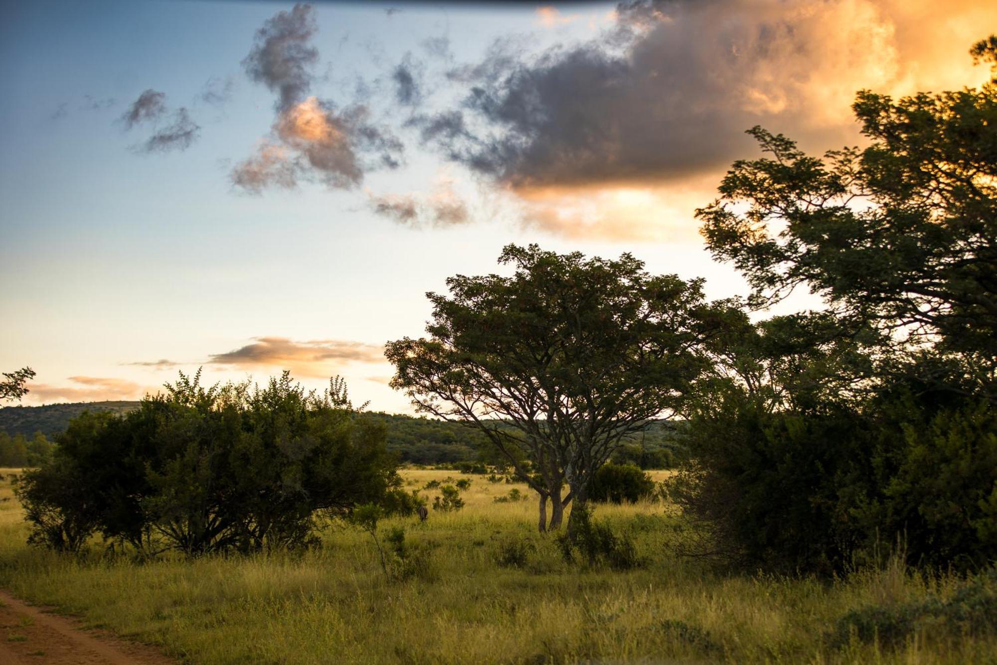 Kololo Game Reserve Vaalwater Exterior foto